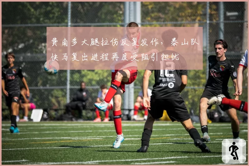 费南多大腿拉伤反复发作，泰山队快马复出进程再度受阻引担忧