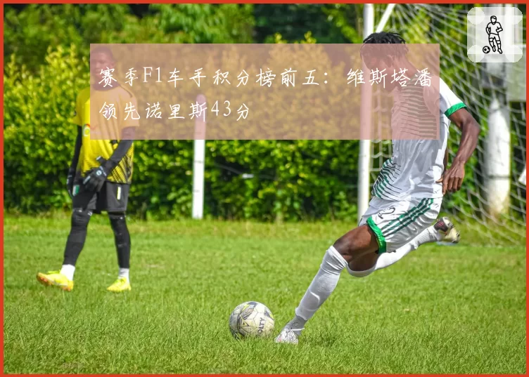 赛季F1车手积分榜前五：维斯塔潘领先诺里斯43分